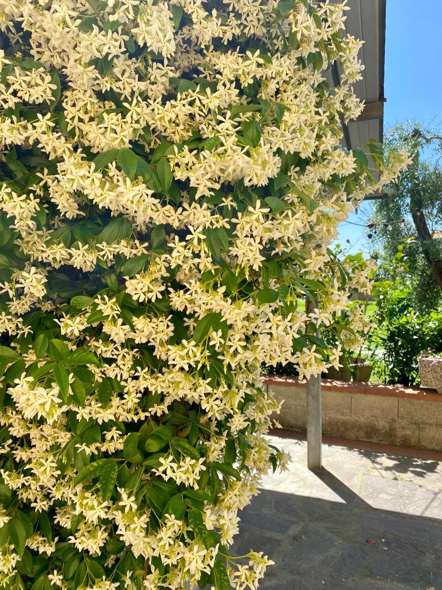 Holiday home La Torribina 2 Cerreto Guidi